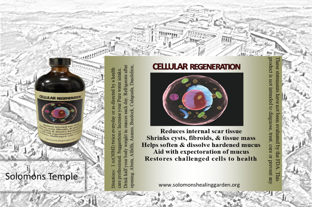 Cellular Regeneration