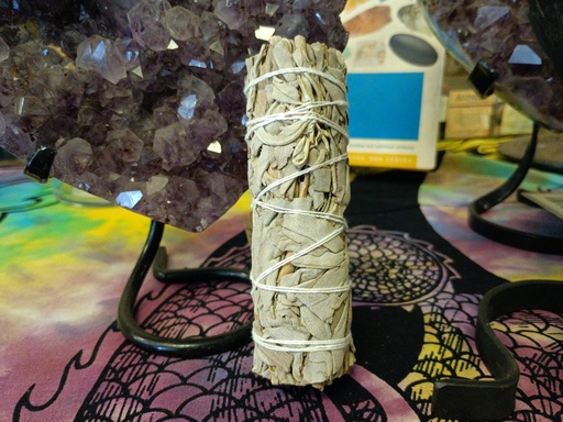 Sage