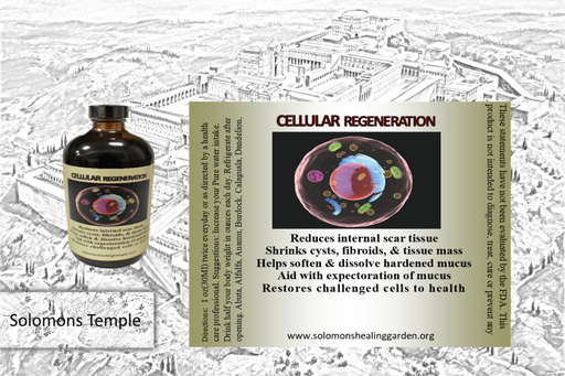 Cellular Regeneration