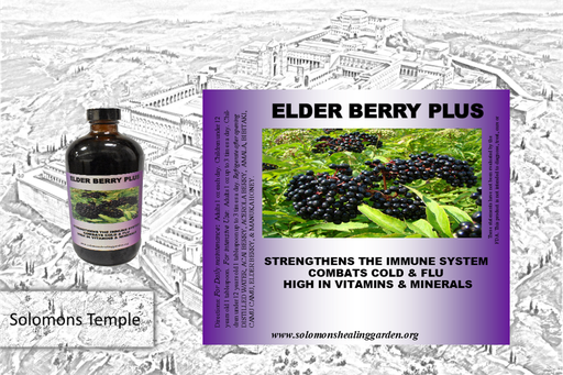 Elderberry Plus