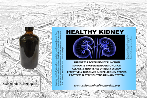 Healthy Kidney
