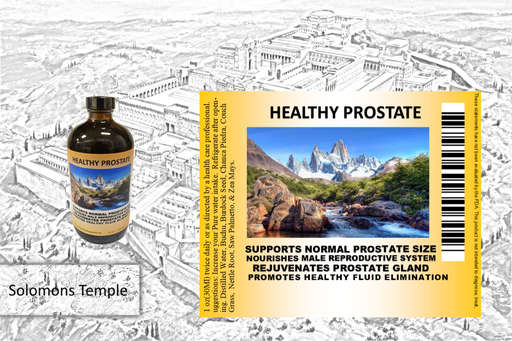 Healthy Prostate