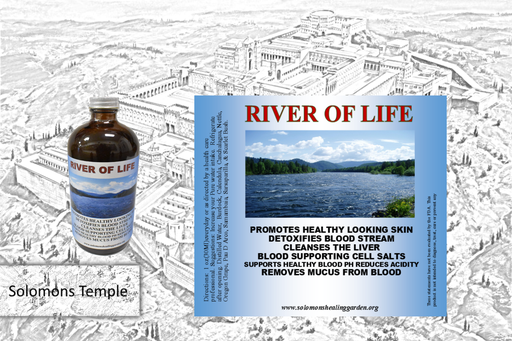 River Of Life